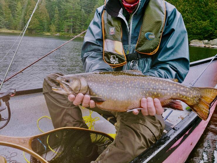 Fly Fishing for Brook Trout is Magical