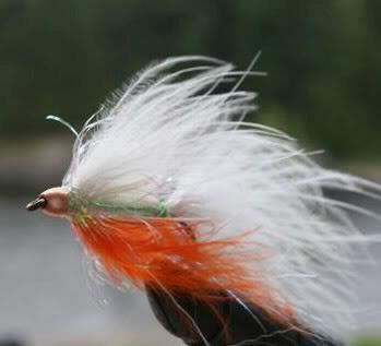 Top 10 Fly Patterns for Ontario Brook Trout