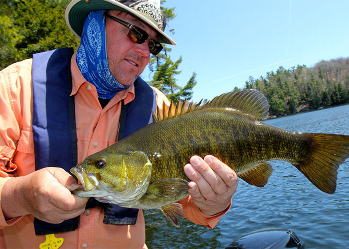 World Class Smallmouth Bass Fly Fishing