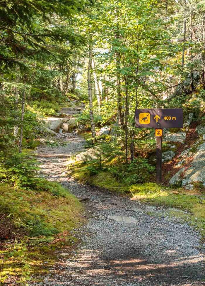 agawa rock trail