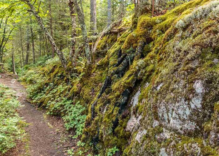 agawa trail