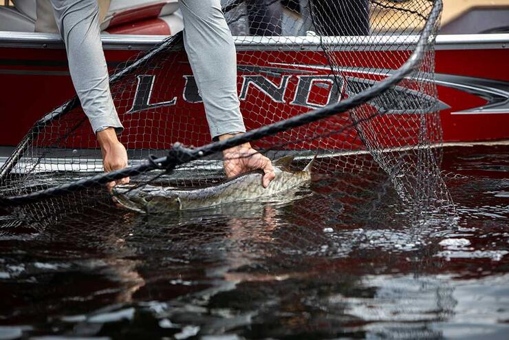 Fly Fishing for Muskie in Algoma Country