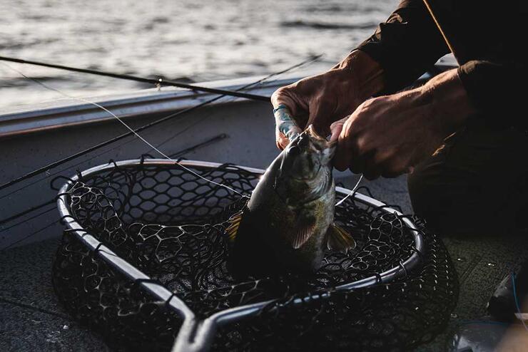 smallmouth bass fishing