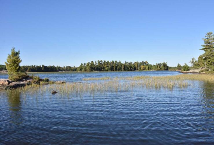 lake habitat