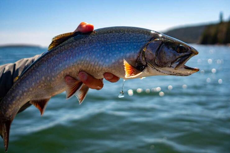 Casting for Coasters at Bowman Island Lodge Lake Superior