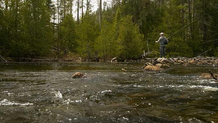 fly angler casting wilderness river