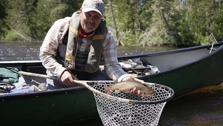 angler fishing brook trout net