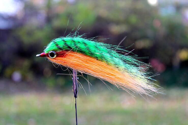 perch streamer pattern