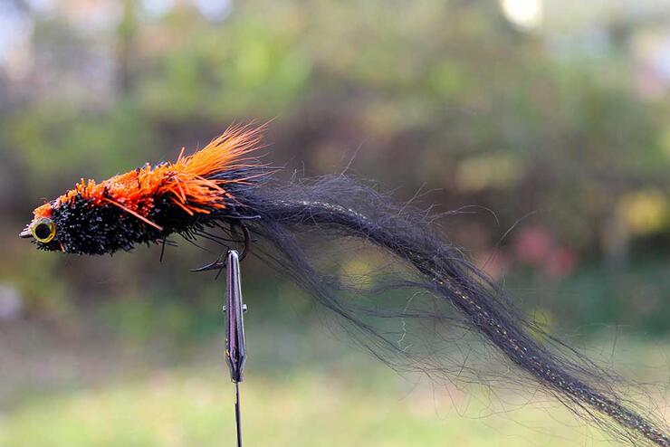 fly pattern slider black and orange
