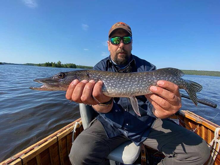 angler with northern pike