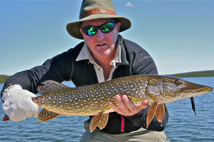 angler holding northern pike