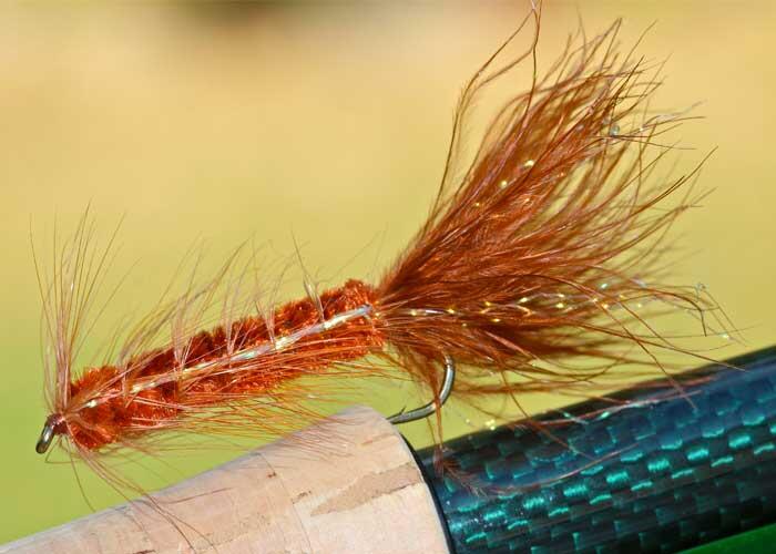 woolly bugger fly
