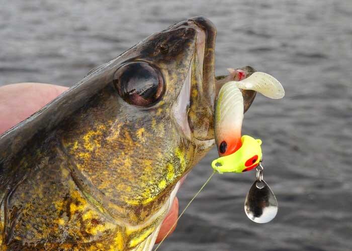 The Best Walleye Lure 