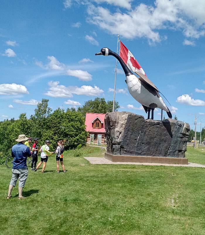 new wawa goose monument
