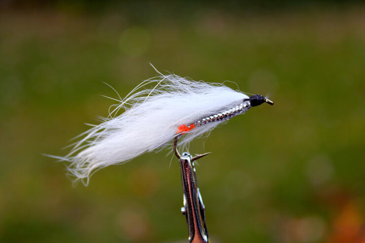 Get 2 boxes and get 10 of our most popular flies FREE