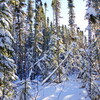 canadian shield tourist locations