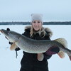 canada fishing trips from minnesota