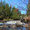 The fun never ends when fly fishing for smallmouth bass!