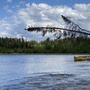 canoe trip logo