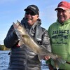 Knock On Wood Walleye  Northern Ontario Travel