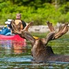 nature places to visit in ontario