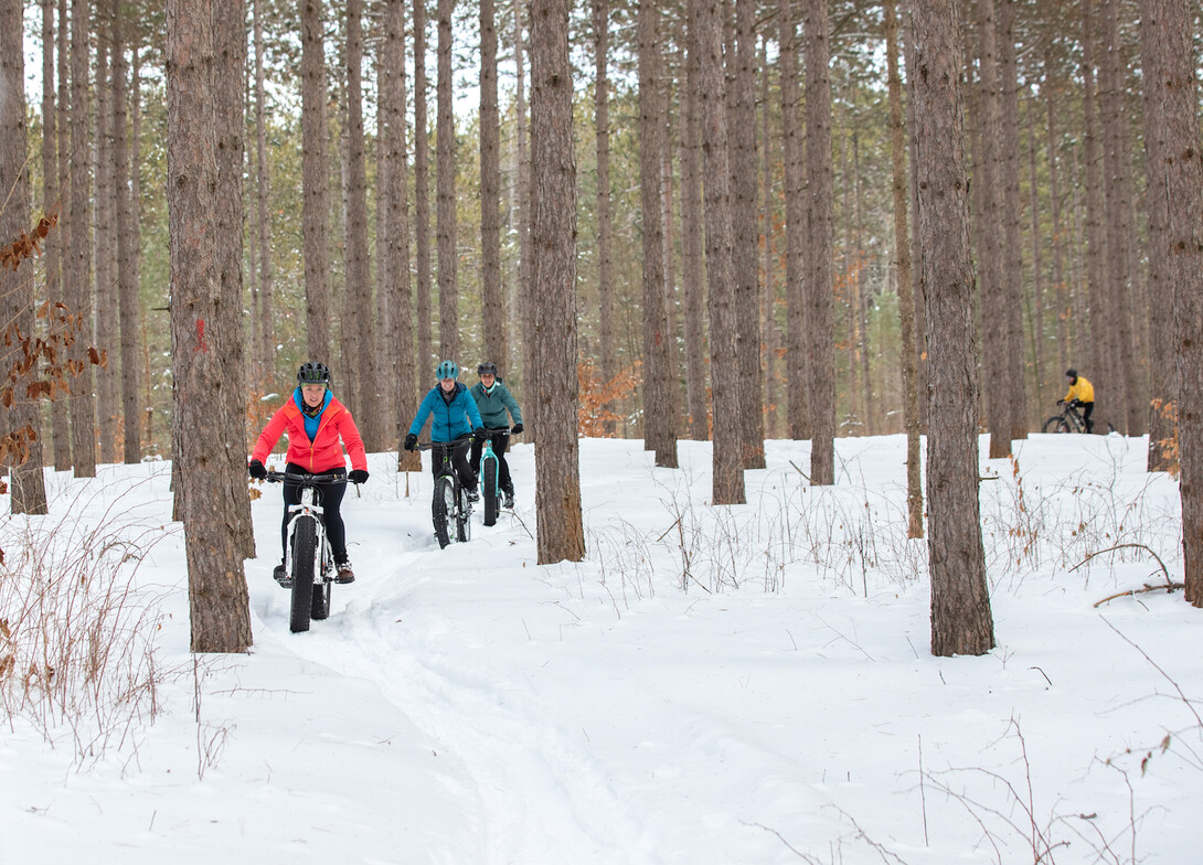 Fat Biking In North Bay, A Winter Trail Guide - Tourism North Bay