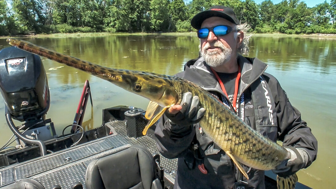 Sight Fishing for Long Nose Gar in Ontario Waters