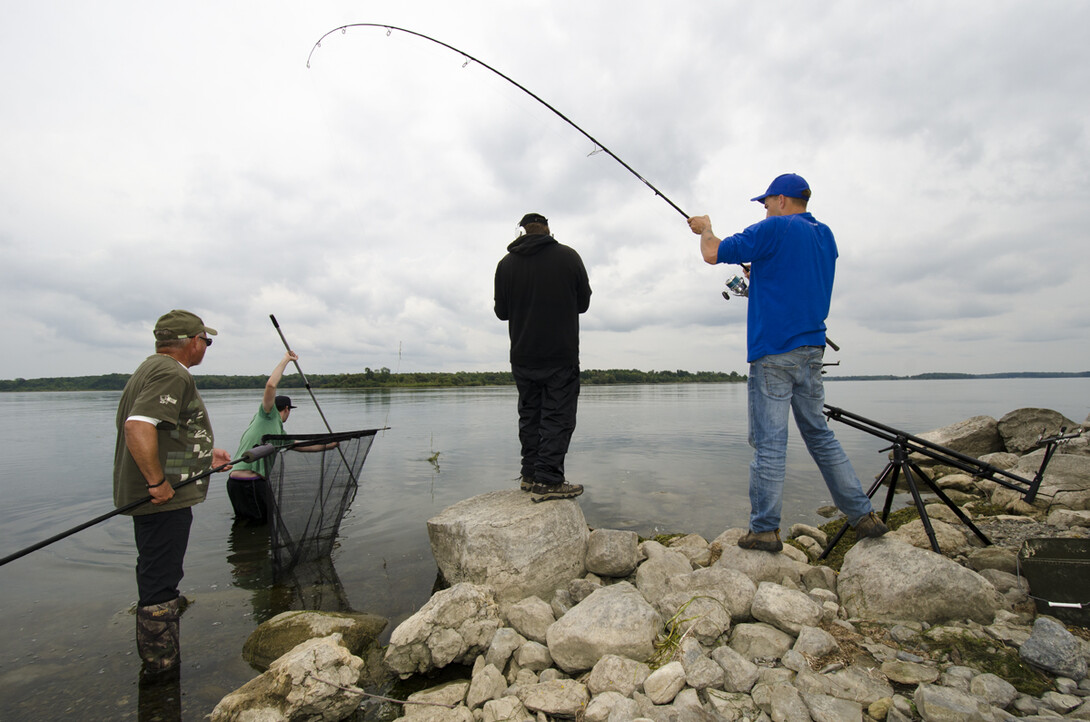 World Class Carp Fishing in Ontario with Len Perdic and Gord Pyzer