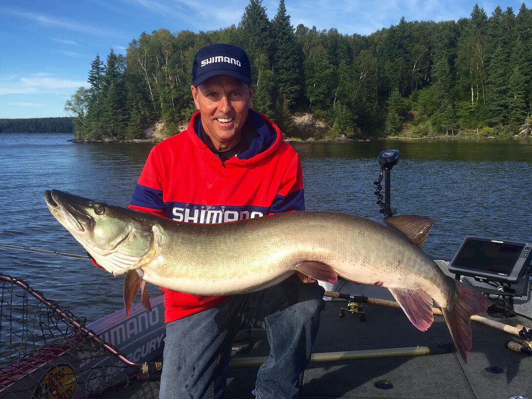 MUSKY FISHING EAGLE LAKE!! - Muskies Eating Swimbait in the Weeds 