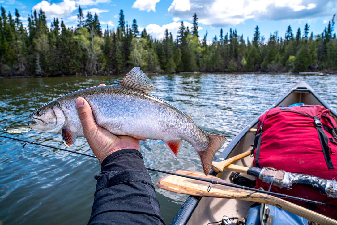 CATCH-AND-KEEP TROUT FISHING SEASON HAS BEGUN IN MARSHALL