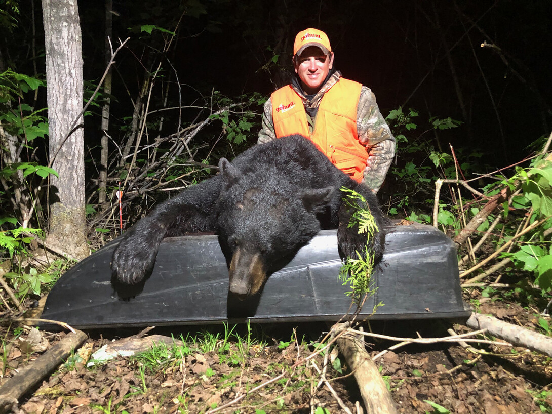A Superior Country Bear Hunt