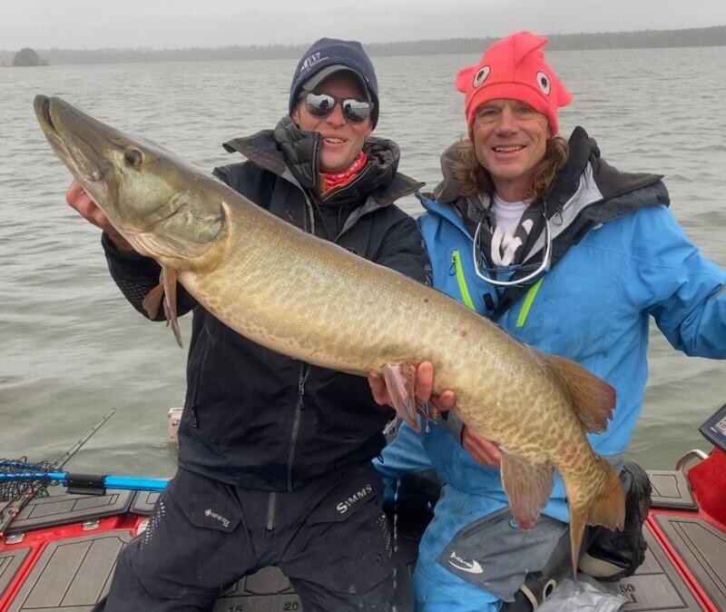 The Window” in musky fishing is pretty much the reason I hit the water each  day… when the window opens, Muskies basically lose the