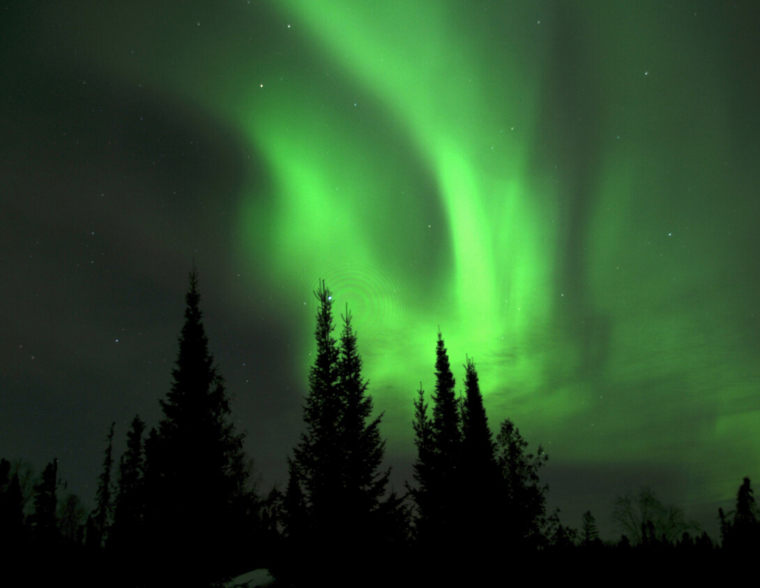 Forest Scene With Aurora Stock Illustration - Download Image Now - Aurora  Borealis, Aurora Polaris, Night - iStock