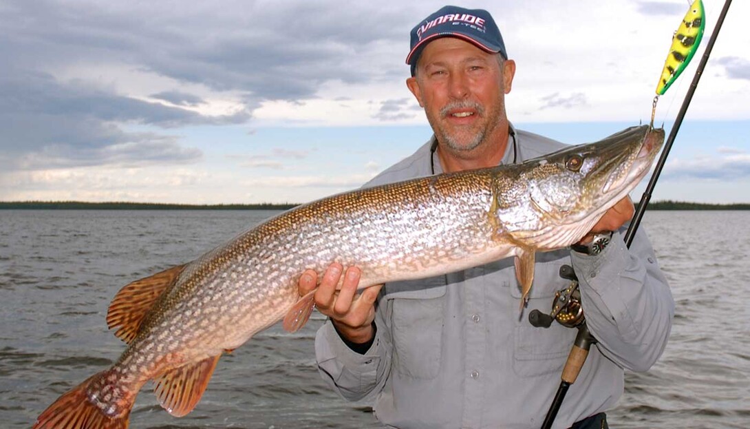 Can't believe it worked…#fishing #pike #topwater #canada #alberta