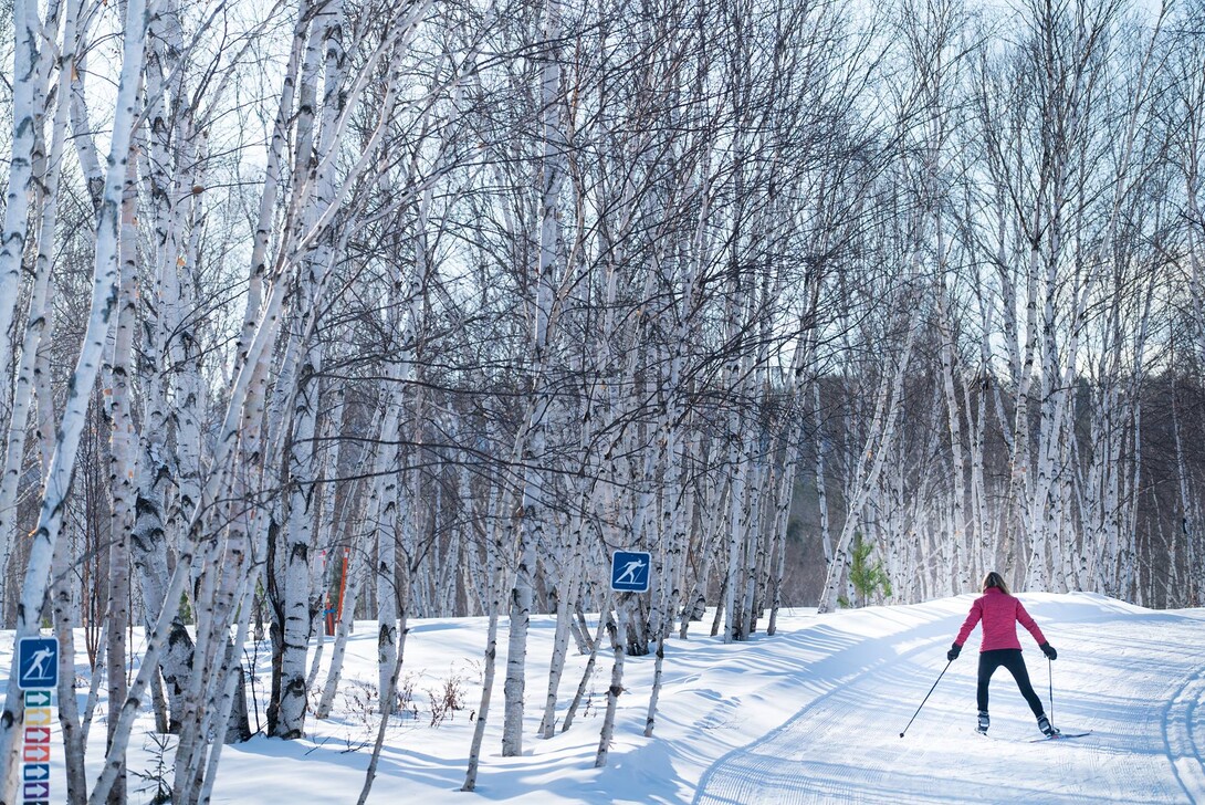 Non Motorized Trails in Sudbury Snowshoe Skiing Opportunities