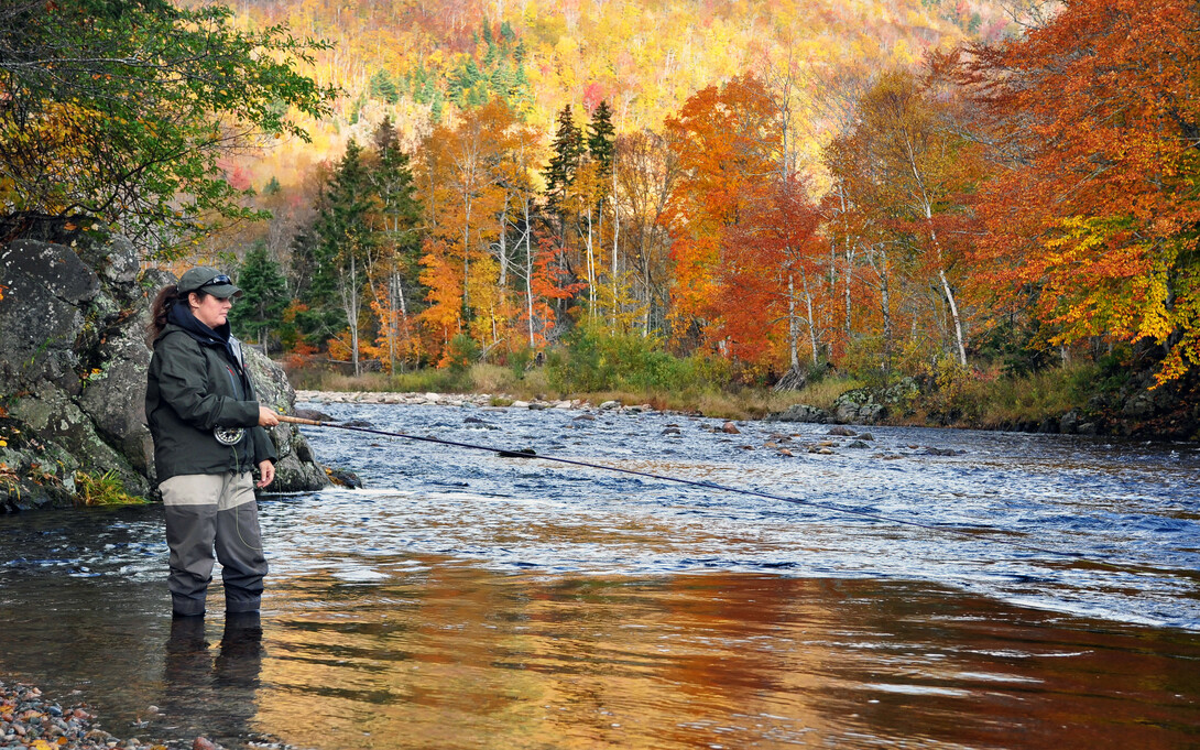 Fly fishing rods - Canada