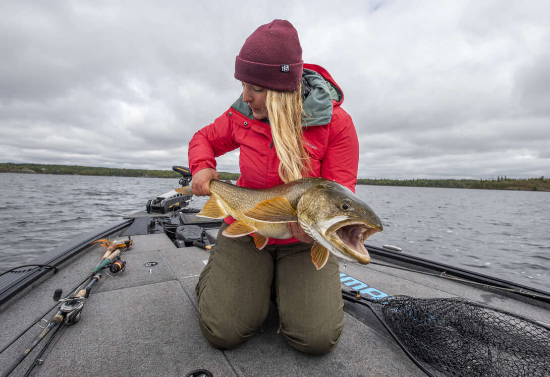 Fall tactics and destinations for lake trout