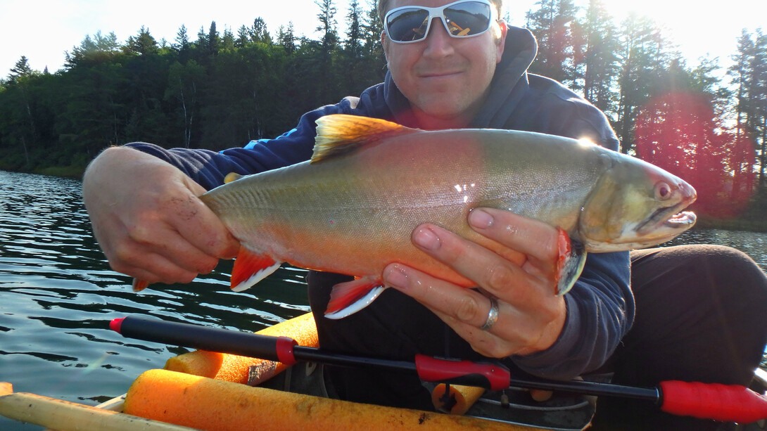 Fish for Aurora Trout in Northeastern Ontario