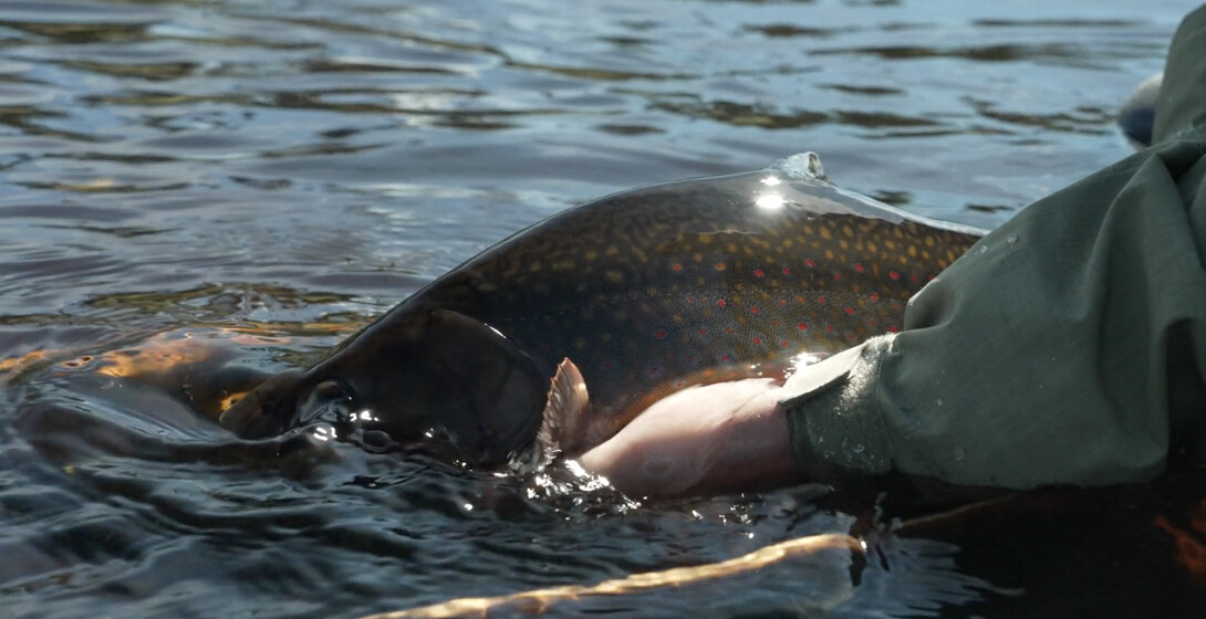 CRAZY Creek Fishing Adventure!!! NEW Spot LOADED with Fish 