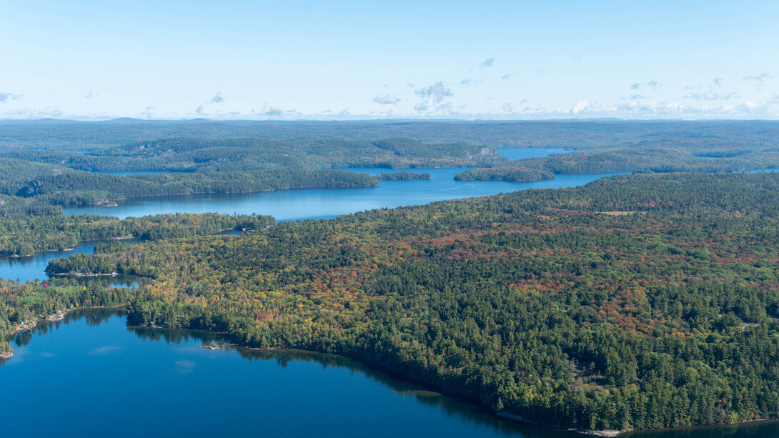 Blue Fox Camp: A Fly-in Adventure for Brook Trout