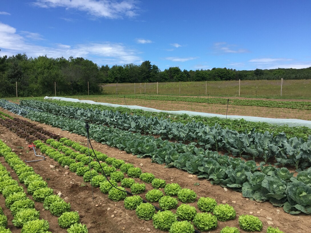 Jardin Farm in Sault Ste. Marie