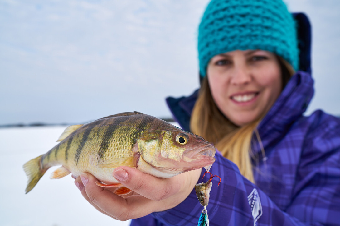 Great for the Kids – Fishing for Perch from Shore - Excellent Adventures