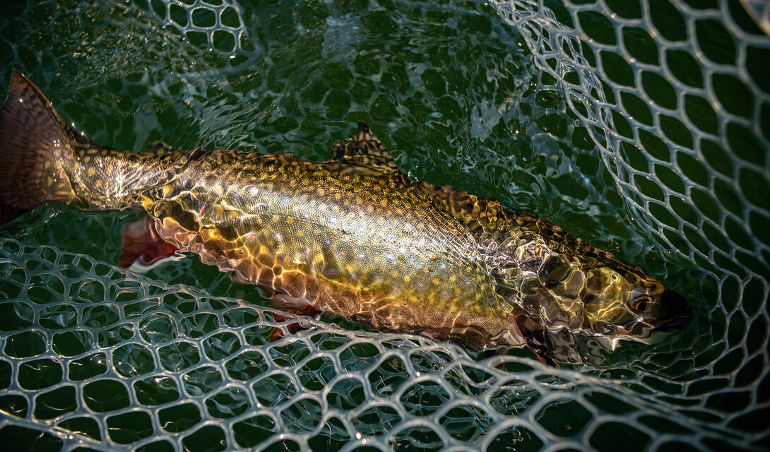 Cranking Up The Heat in Northern Ontario: Crankbaits and Fishing