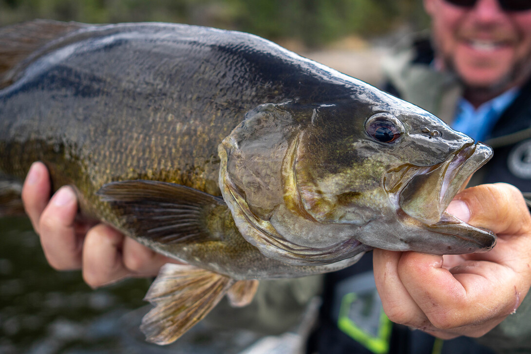 5 Critical Winter Smallmouth Fishing Tips - Slamming Bass