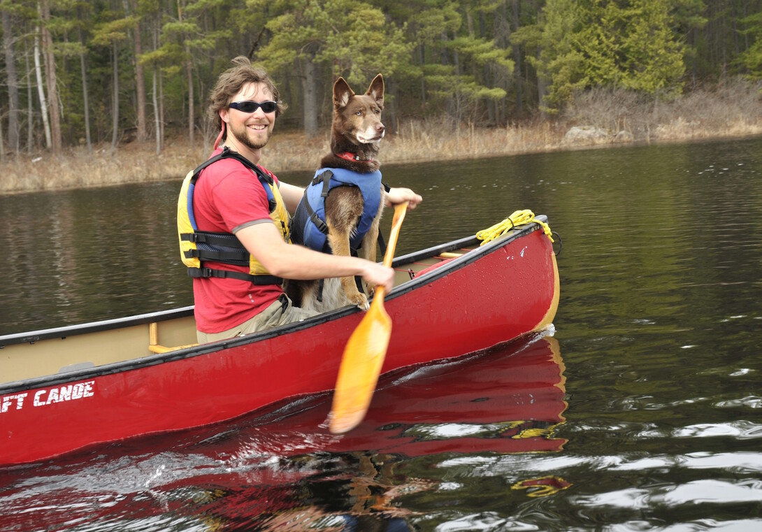 Kayaking With Your Dog In Northern Virginia