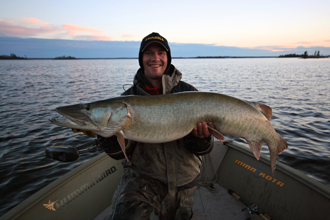Fall Muskie Fishing in Ontario's Sunset Country