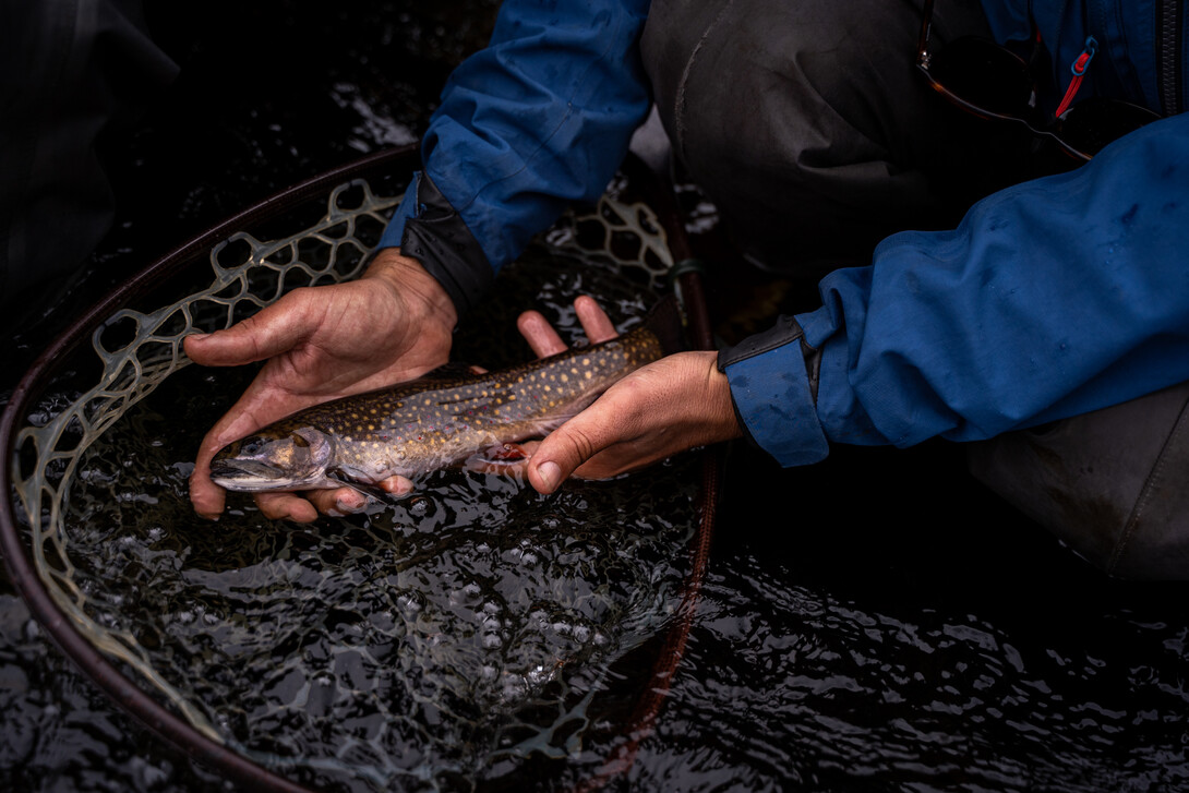 Fall Fishing in Northeastern Ontario