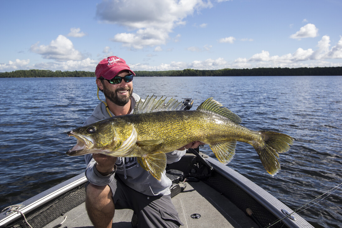 Bouncing Swimbaits For Walleye 