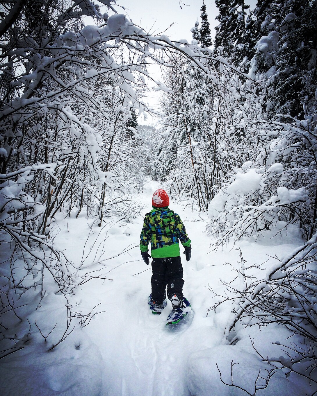 Winter Hiking in Northern Ontario