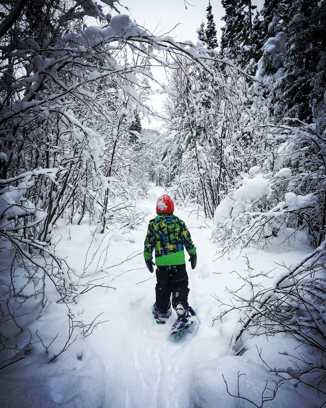 Winter Hiking Tips: Ultimate Guide to Hiking in the Snow - Ontario Hiking